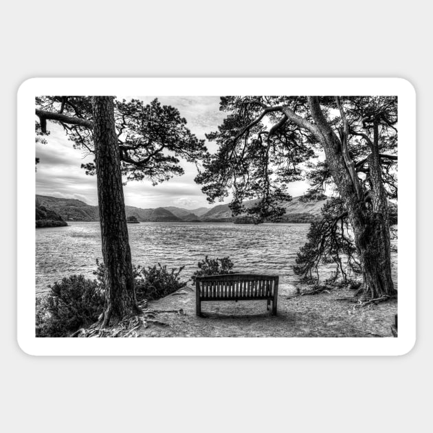 A Place To Contemplate Life Sticker by tommysphotos